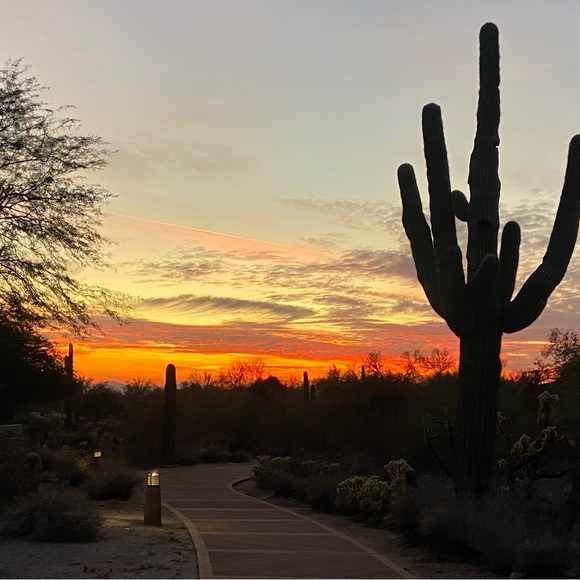 Hello from Sunny Scottsdale! - Picture 1 of 1
